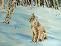 Luchs im Schnee,Pastell,40x50cm,(c)D.Saul 2012