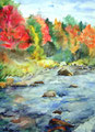 Herbstwasser 40x50cm  unverk.,(c)D.Saul 2011,Herbst-Fluss