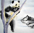 Panda 40x50 verkauft