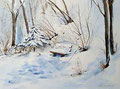 Verschneite Bank 40x50cm,(c)D.Saul 2011,Schnee-Taunus-Wald