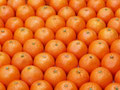Ernährungsberater Hamm, Ernährungsberatung in Hamm, Ernährungscoach Hamm, Gesund abnehmen Hamm