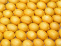 Ernährungsberater Hamm, Ernährungsberatung in Hamm, Ernährungscoach Hamm, Gesund abnehmen Hamm