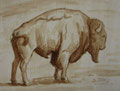 Wisent
