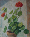 321 Geranium 40x50