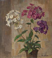 341 Phlox 33x34