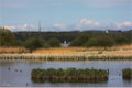 Am Dieksee