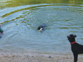 Supi schwimmen macht Spaß...