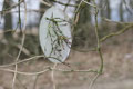 copyright erdengoldKUNSTwerk;