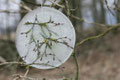 copyright erdengoldKUNSTwerk;