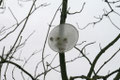 copyright erdengoldKUNSTwerk;