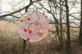 copyright erdengoldKUNSTwerk;