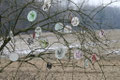 copyright erdengoldKUNSTwerk;