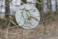 copyright erdengoldKUNSTwerk;