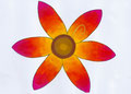 Logo Pozzo de Sol (E), Nature.©Saëlle Knupfer