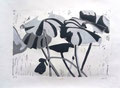 2022_Wilder Rhabarber, 3. Zustand, s/w, Handabrieb