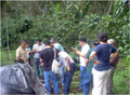 Besuch auf der Finca David Chavez / COMSA, Mai 2010