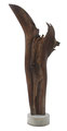BOGWOOD CHENE (65 cm)