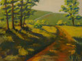 Lichtung 30x23 (nicht mehr erhältlich)