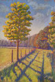 Am Feld entlang 32x66