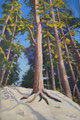 Blick nach oben 34x69