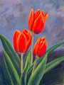Tulpen 30x40