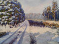 Forstweg im Winter 40x30