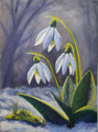 Moosglöckchen 30x40