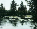 1994 "Waterlelies" acrylverf op paneel 48 x 60 cm. € 700,-