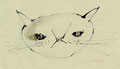 《a cat》✔　紙にアクリル絵の具、鉛筆、インク、ペン　120mm×180mm／2013