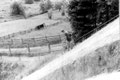 Bild: Wünschendorf Erzgebirge Thälmann-Sprungschanze