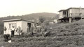 Bild: Wünschendorf Erzgebirge Kleingarten
