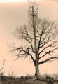 Bild: Wünschendorf Erzgebirge