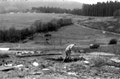 Bild: Wünschendorf Erzgebirge Kleingarten