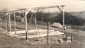 Bild: Wünschendorf Erzgebirge Kleingarten