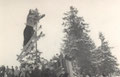 Bild: Wünschendorf Erzgebirge Höllbergschanze
