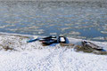 La Loire hivernale - © Arnaud Réchard