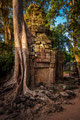 Tempel Ta Prohm, Kambodscha