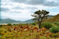 Namibia