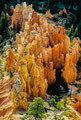 Brice Canyon, USA