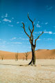 Dead Vlei, Namibia