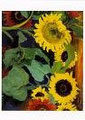 Grands tournesols 1