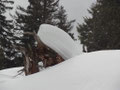 am Weg zum Spielkogel