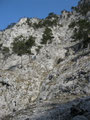die Stadelwand