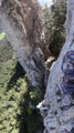 im Riss, dahinter der Baumgartnerturm