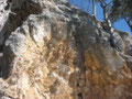 Baumquerung (3-)