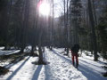 am Weg zum Gaisloch im Großen Höllental