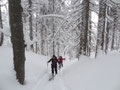 am Weg zur Häuselalm