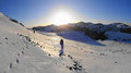 am Plateau der Mitteralm