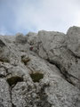 schöne Verschneidung, 5. Sl