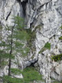 die erste, grasige Seillänge zum spitzen Felskopf (ganz oben)